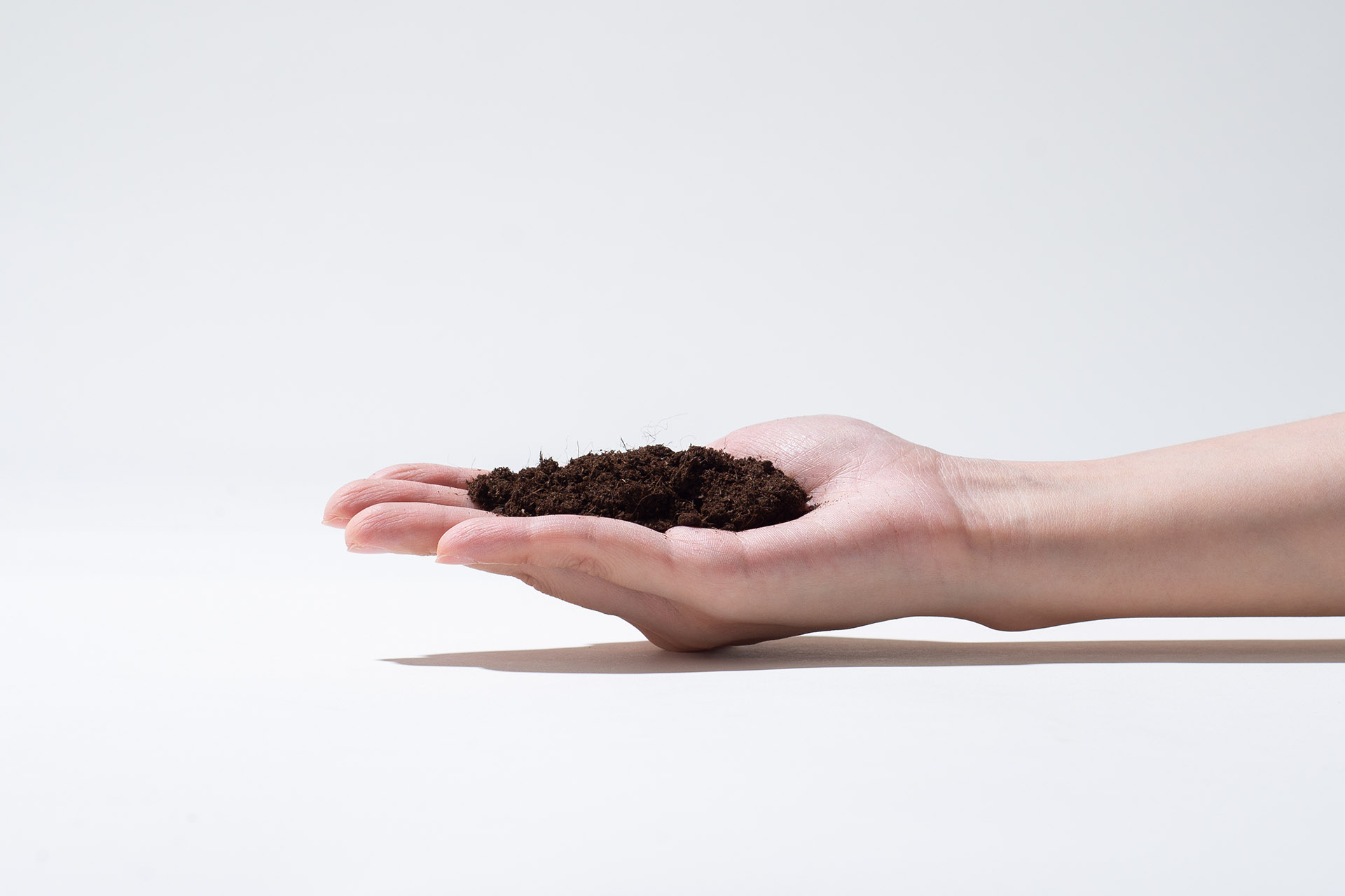 多肉植物專用介質－泥炭土 多肉專用土：泥炭土2 1