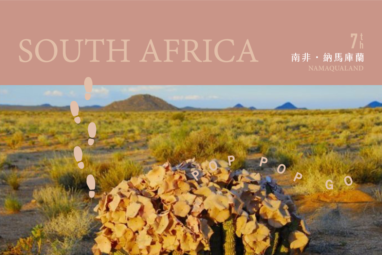 Read more about the article 世界多肉地圖：南非 納馬庫蘭（多肉迷一生必定要造訪的聖地）