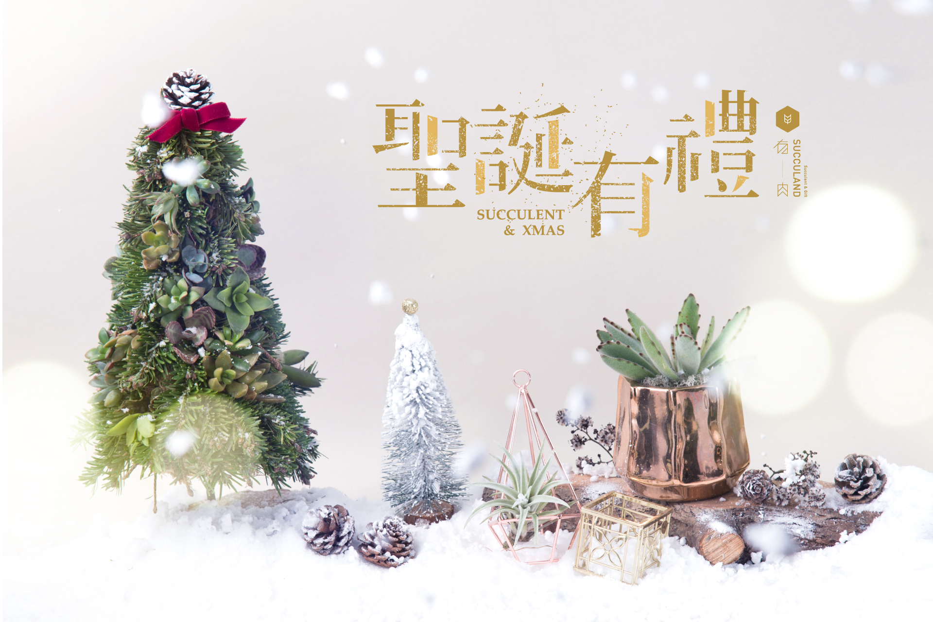 Read more about the article 主題活動 | 聖誕有禮 Succulent ＆ Xmas