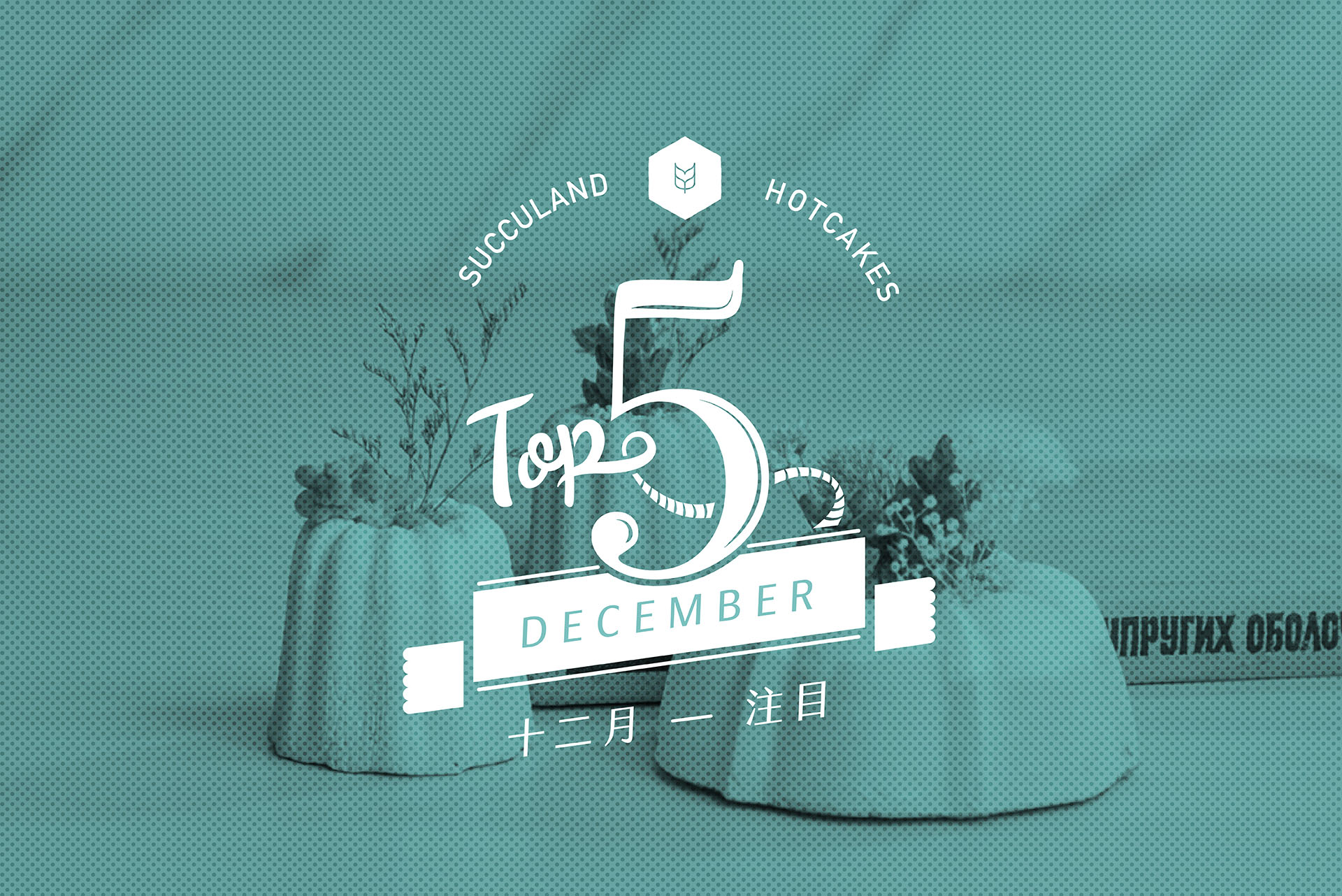Read more about the article 有肉 2016 年 12 月開幕送禮盆栽 TOP 5