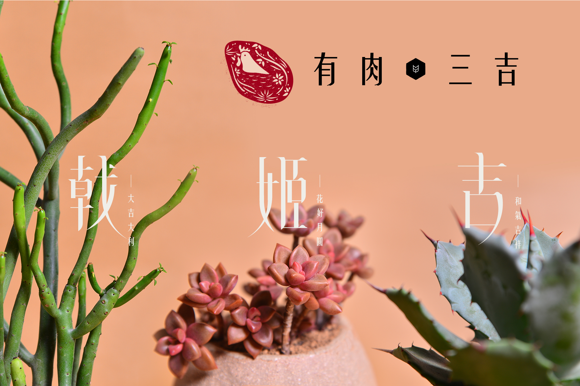 Read more about the article 新春開運好肉『有肉三吉 – 吉 姬 戟』
