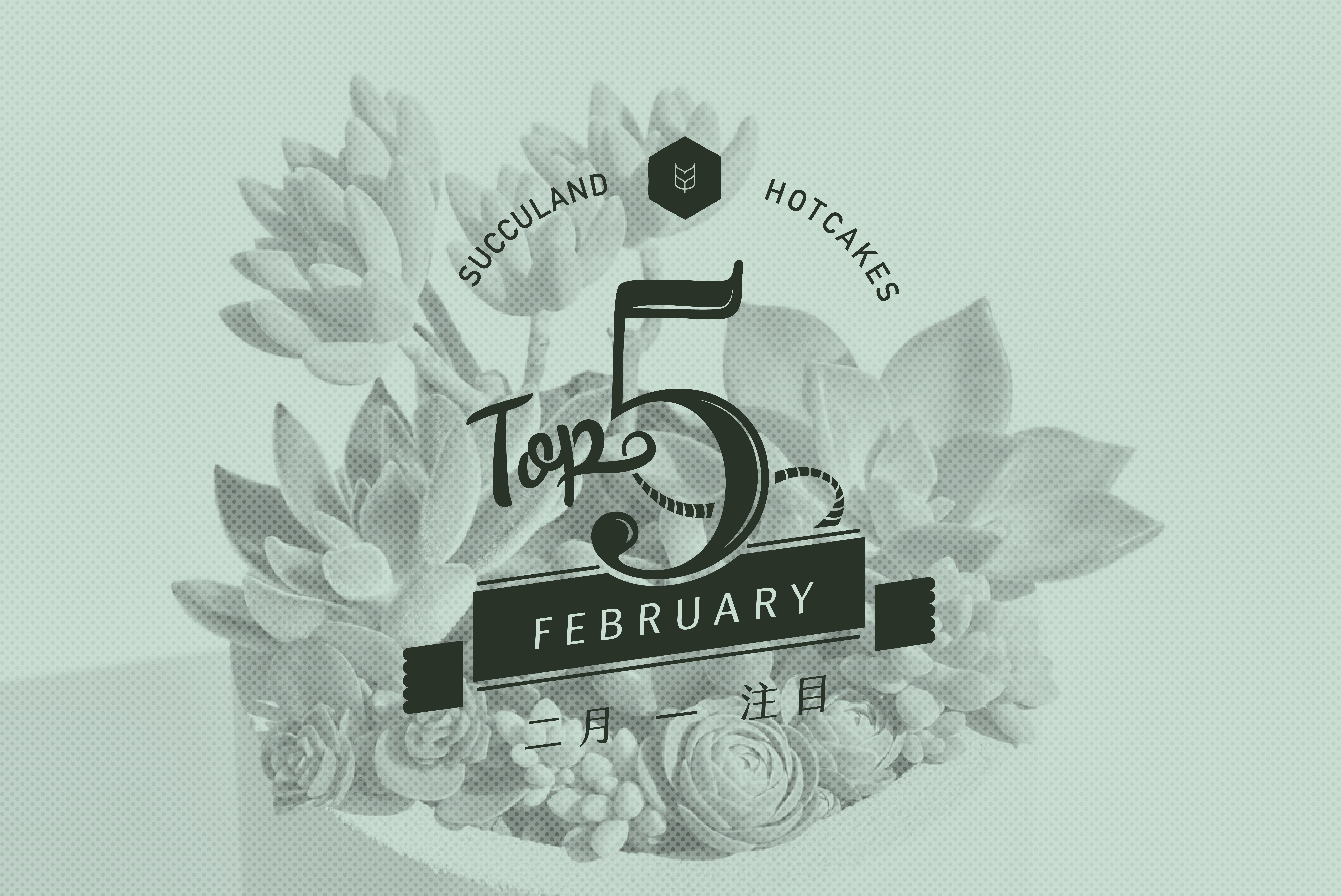 Read more about the article 有肉：網路花店 2017 年  2 月開幕送禮 TOP 4
