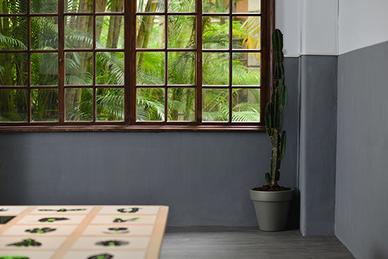 黑青展覽植物佈置-風格佈置搭配仙人掌
