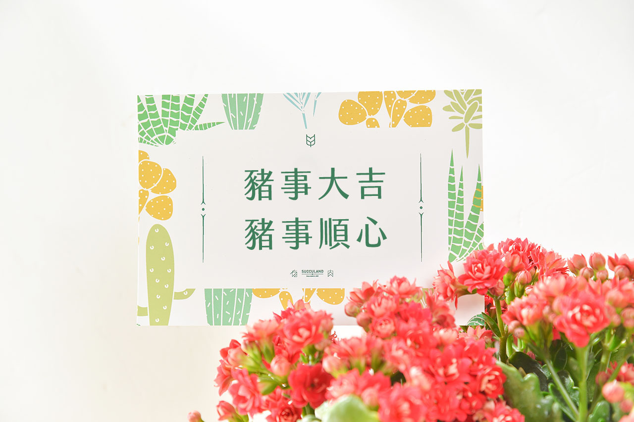 Read more about the article 2019 豬年吉祥話、祝賀詞大集合（成語＋諧音梗）