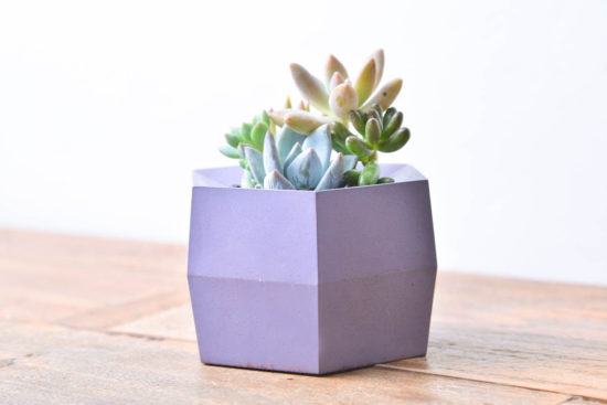 新的紫色花盆