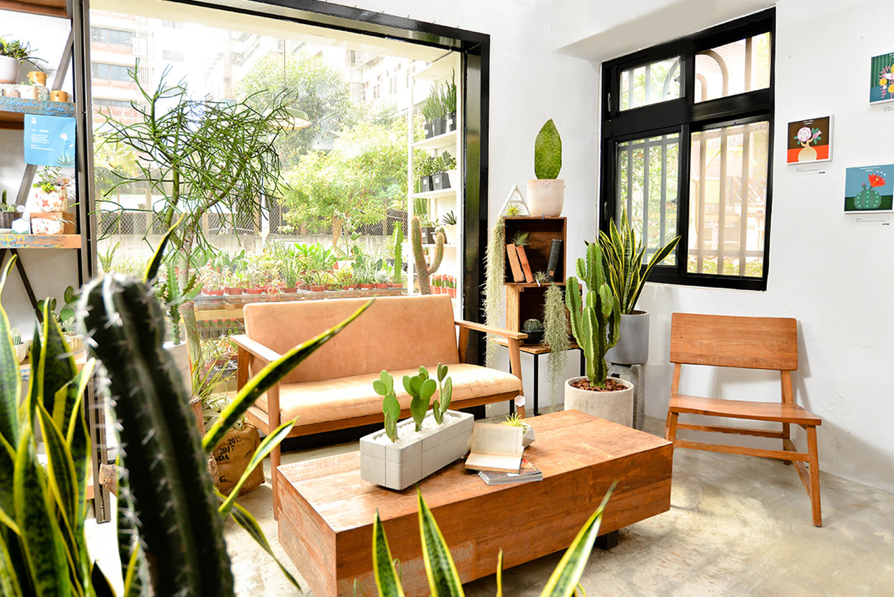 Read more about the article 佈置和布置的差別？加碼教你如何使用室內植物讓家變美！