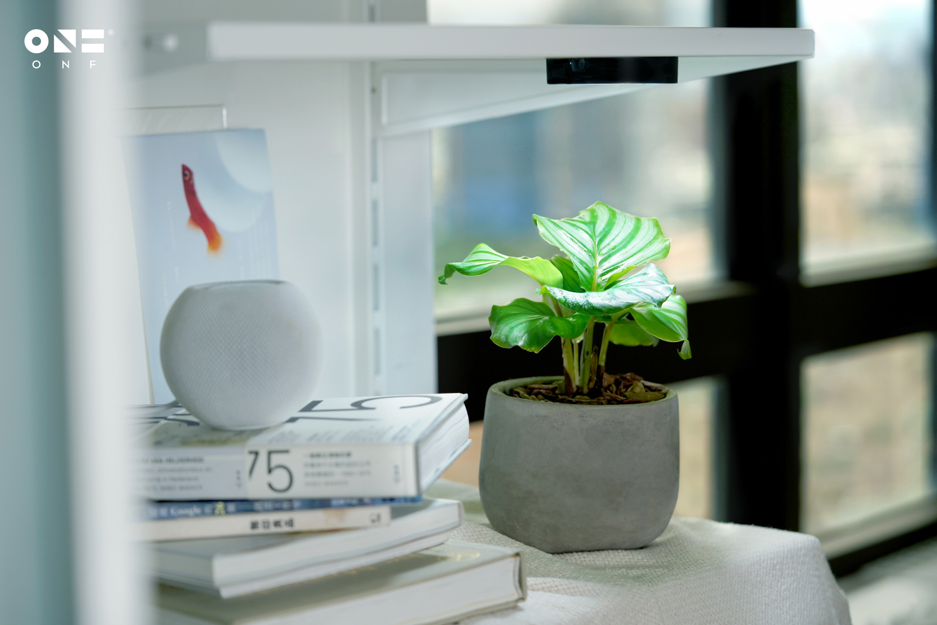 7 款植物燈推薦！洗練的工業設計點亮室內氣氛 mistO小圖檔 2