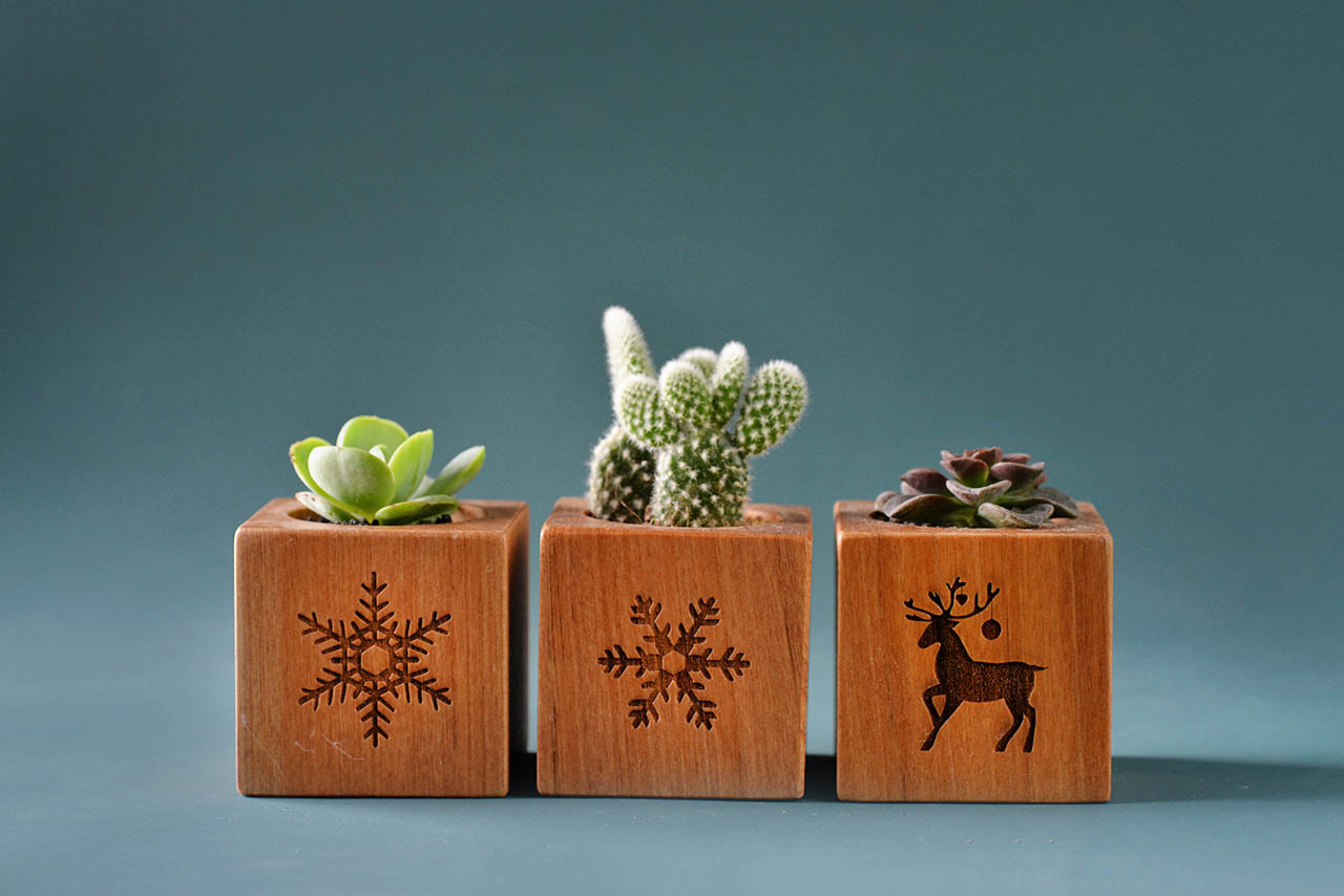3 件聖誕禮盒案例 推薦植物系禮盒 2020聖誕交換禮物8 2