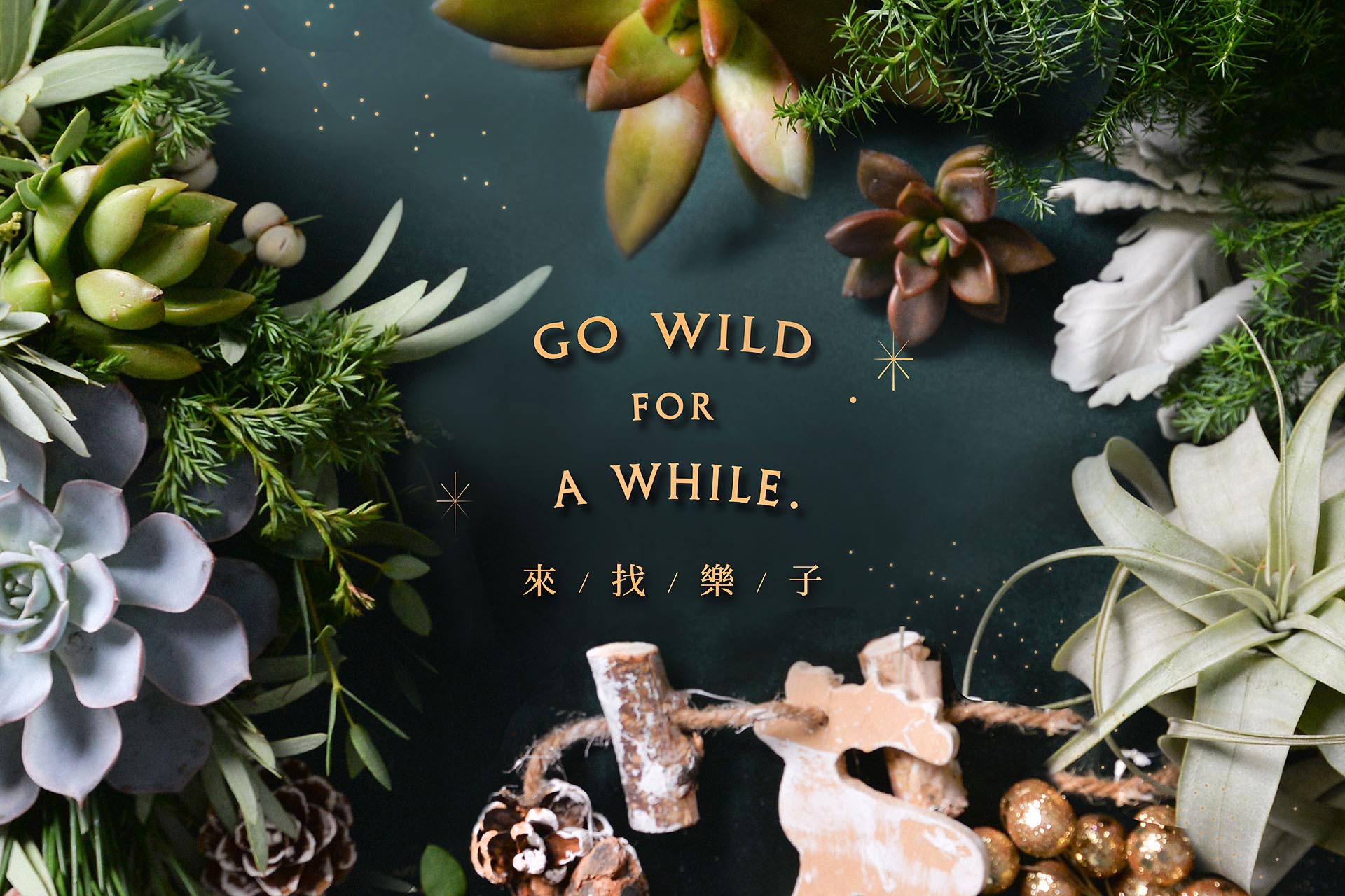 Read more about the article 聖誕節慶祝活動：GO WILD FOR A WHILE. 創造個人的聖誕綠意狂想曲！