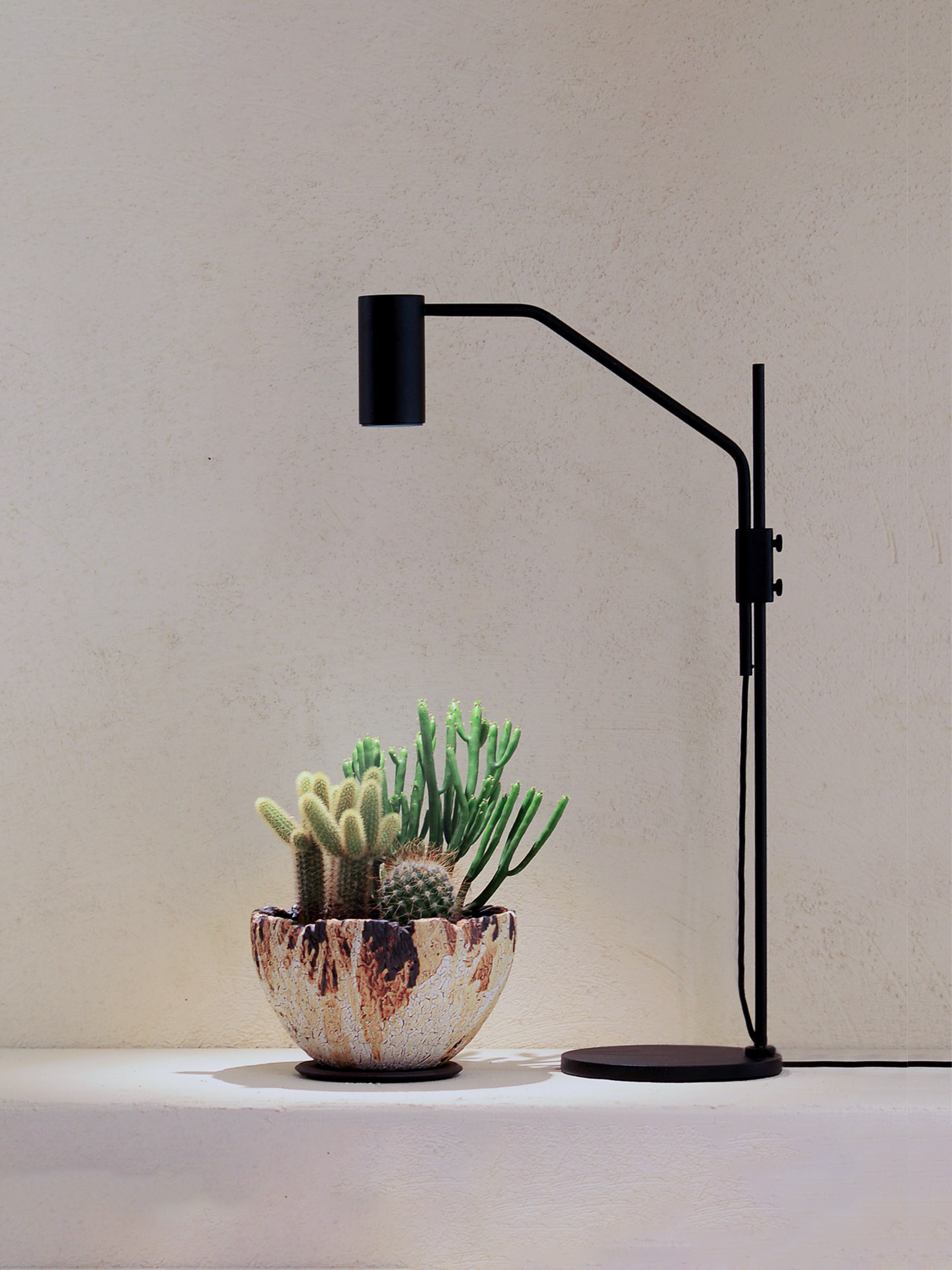 OURA 桌燈 - 室內植物燈 桌燈 1