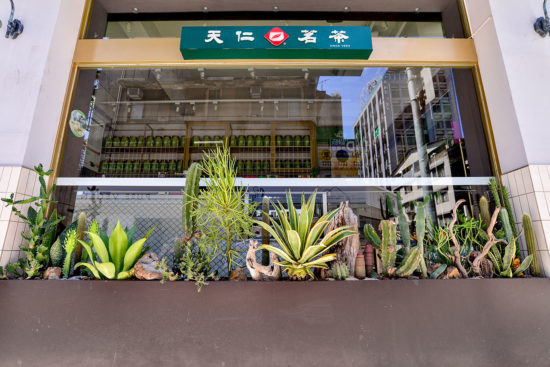 店面櫥窗造景綠化案例：台北大安區 CHAFFEE chaffee 1 5