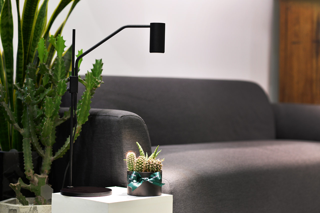 植物生長燈介紹、使用心得、推薦 OURA植物燈