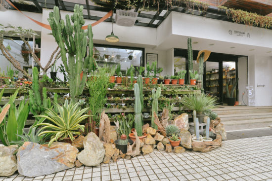 蒐集 12 種室內植栽設計裡的綠意光景 商業空間 造景佈置 植物陳列 都市叢林 綠色城市5