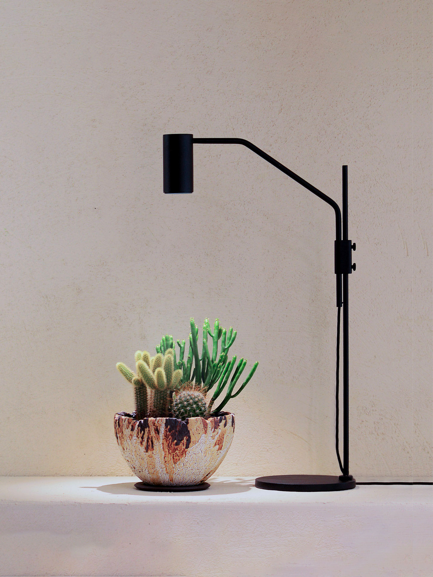 OURA 桌燈 – 室內植物燈