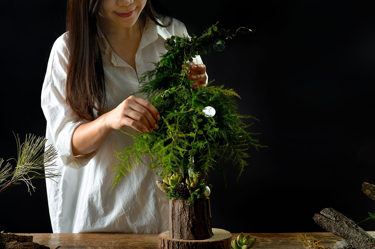 [ 多肉植藝 ] 願望樹塔 -- 聖誕節 願望樹塔 整理植物2