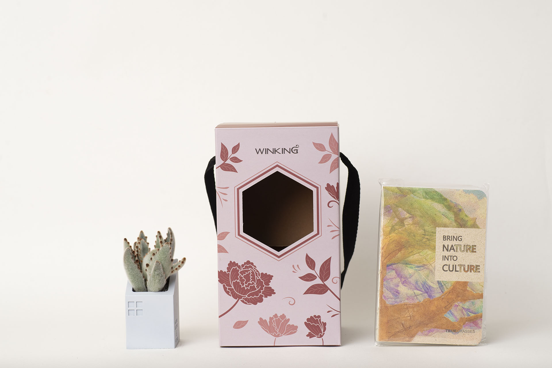 維晶科技業案例：春節客製化植物禮盒1
