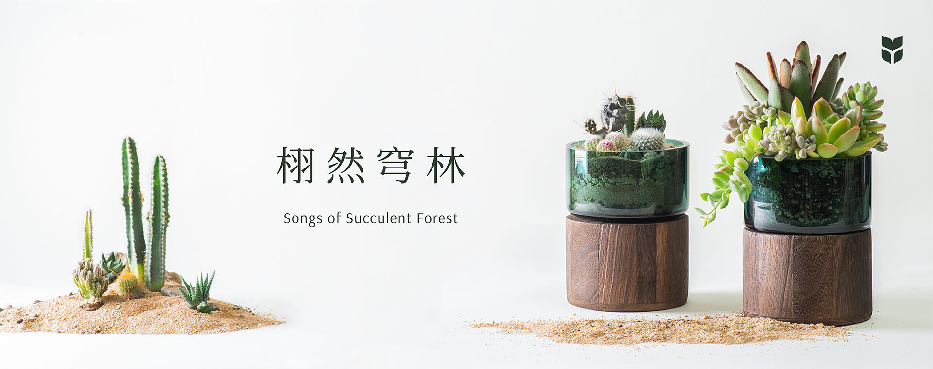 [ 多肉組盆 ] 栩然穹林 Songs of Succulent Forest Banner 工作區域 12 拷貝