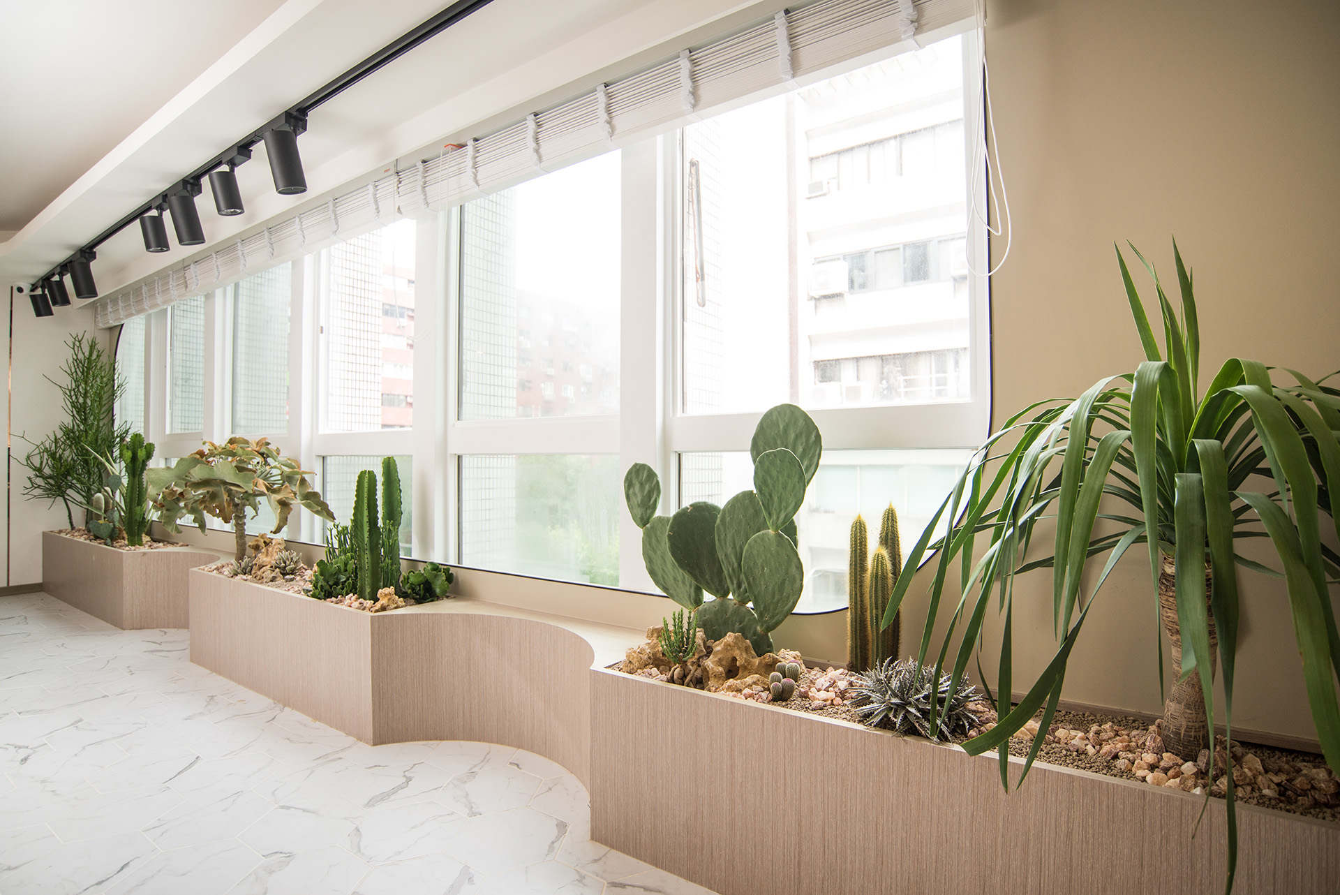 22 種小陽台適合的佈置植物推薦 0907 台北東區室內植物造景 48