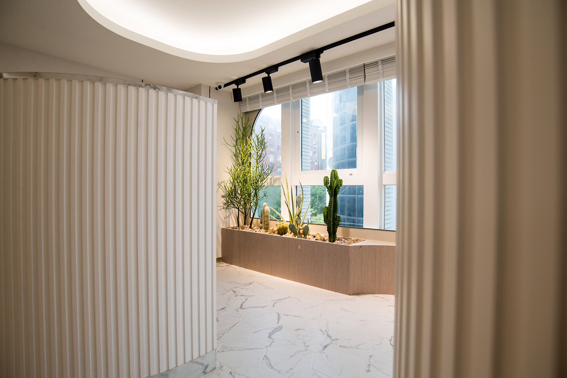 公司、辦公室植物造景設計 搭起創新思考的區域 0907 台北東區室內植物造景 9