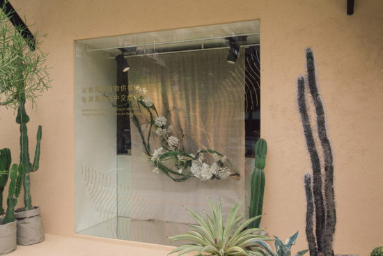 簡約植物櫥窗設計