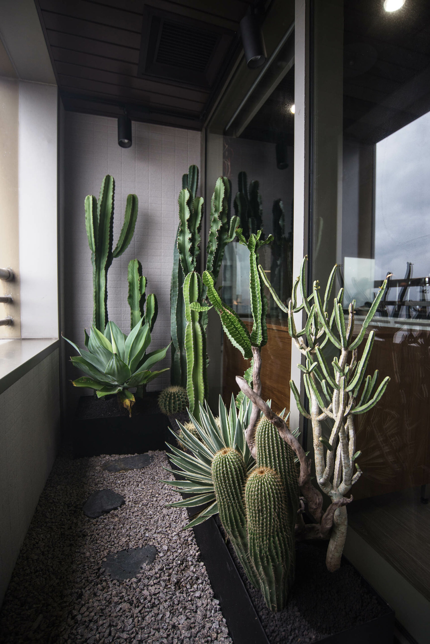 OURA 軌道燈 - 室內植物燈 私人招待會所 質感綠景陽台設計4 scaled
