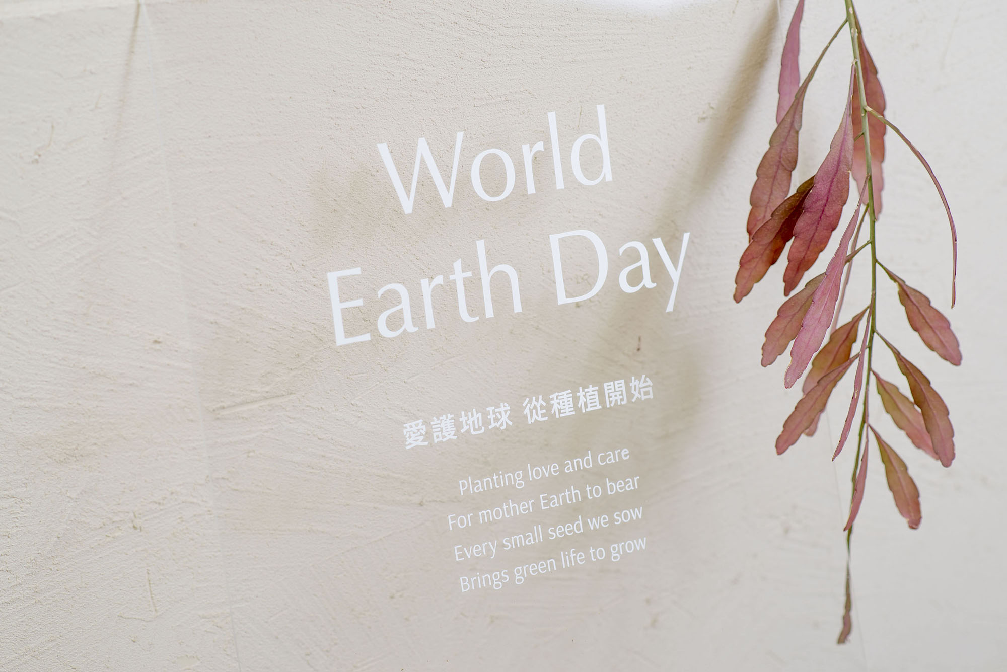 Read more about the article 2023 世界地球日活動「愛護地球，從種植開始」