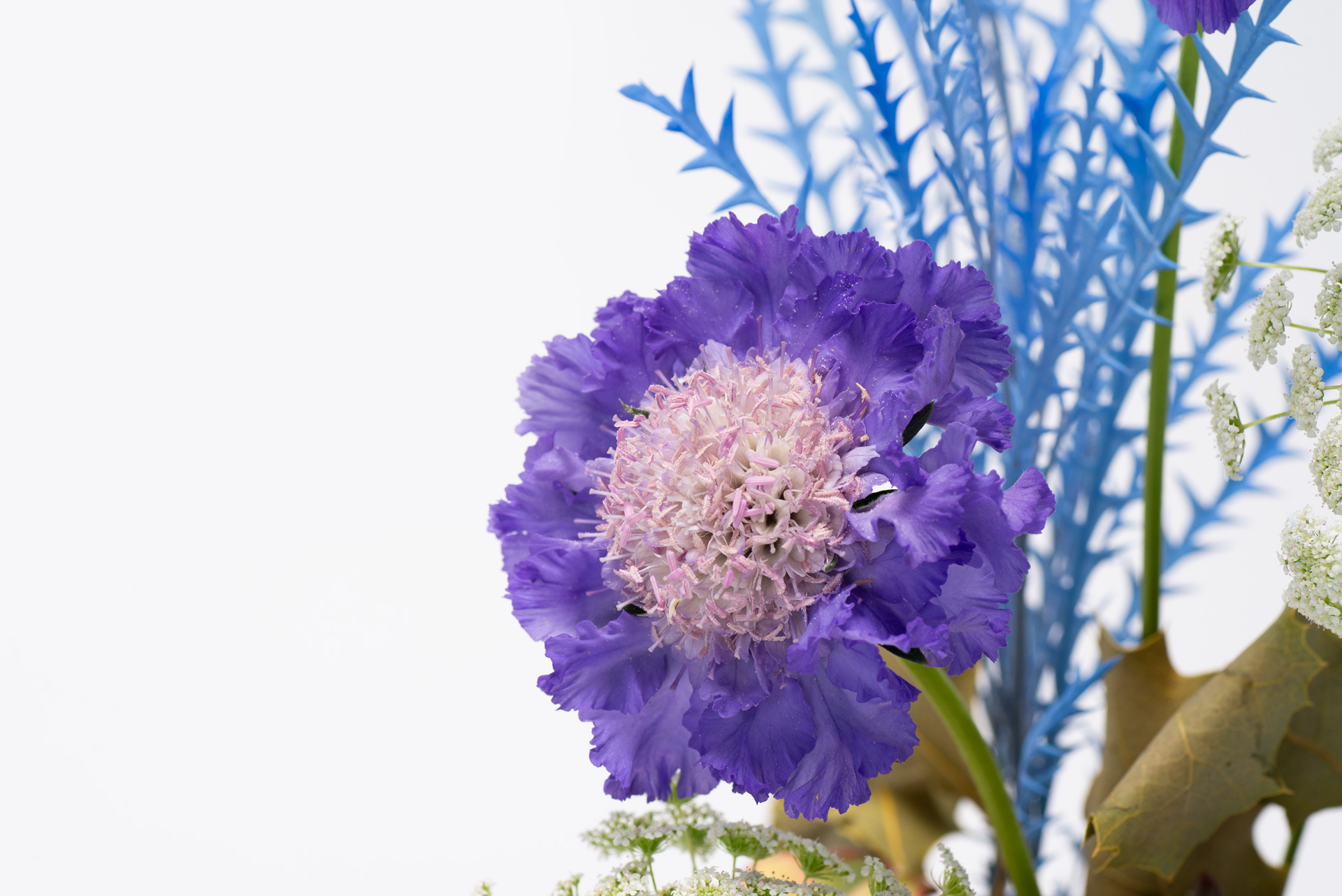 幻彩植舞-雙色漸層送禮紫色花